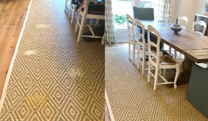 pet stain removal comparison