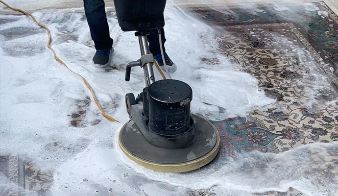 professional worker cleaning rug
