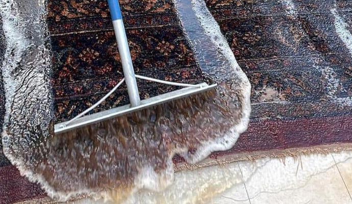 Rug cleaning service