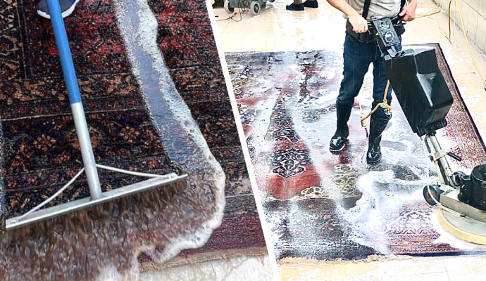 Professional rug cleaning service