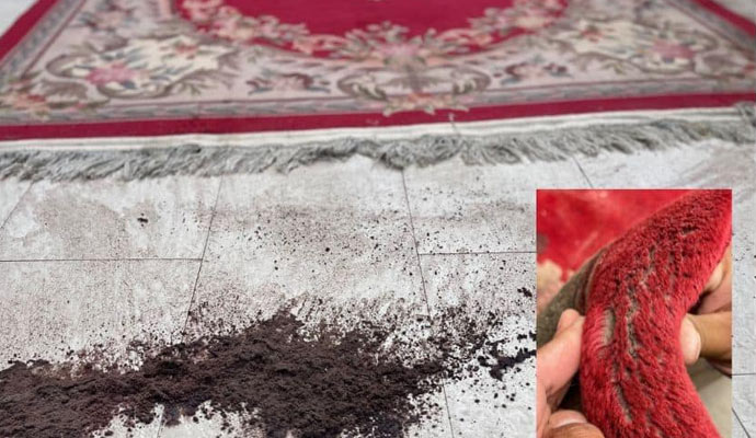 Removed dust from rug