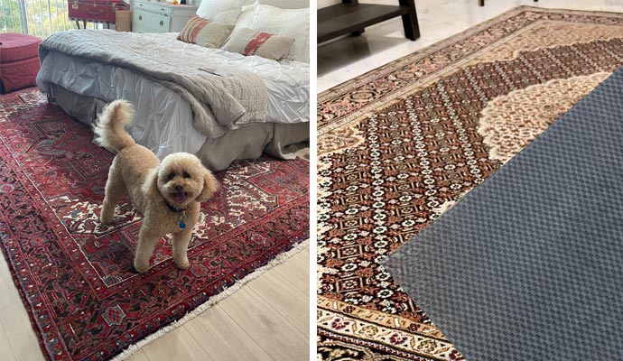 A cute pet stands on the rug and besides that a rubber rug pad put on the beautiful rug